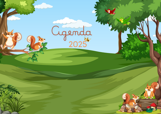 Rotina Diária - Sugestão